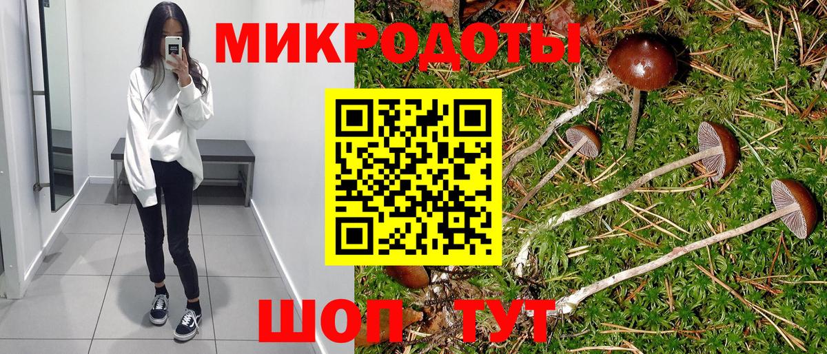 Псилоцибиновые грибы Magic Shrooms Торжок